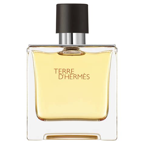 hermes terre d hermes edt spray 100ml|sephora hermes terre d'hermes.